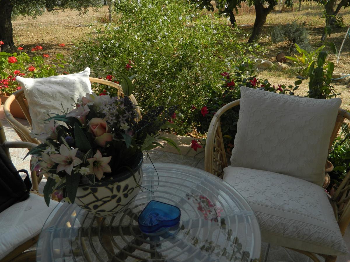 Uliveto House Bed & Breakfast Castellammare del Golfo Eksteriør bilde
